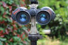Celestron Skymaster Bild 5