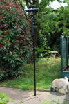 Celestron Skymaster Bild 6